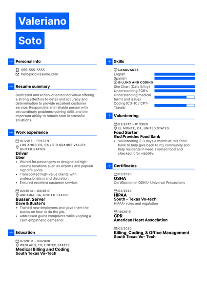 Chief Information Officer Cover Letter Template