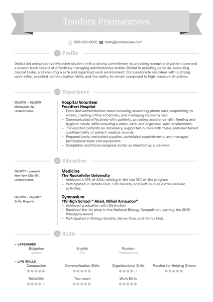 Cosmo Trading Junior Accountant Resume Example