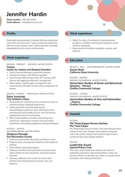 Social Work Intern Resume Example