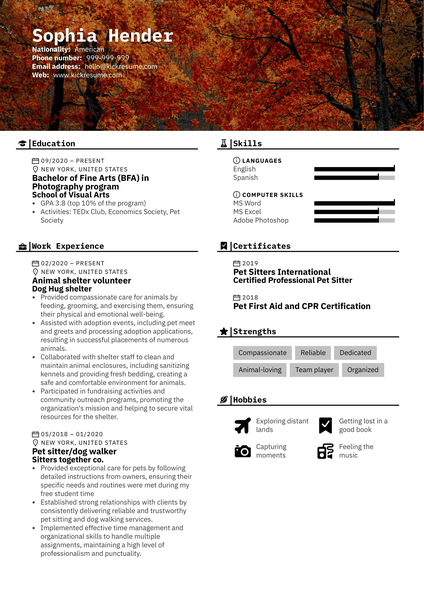 Night Auditor Resume Example