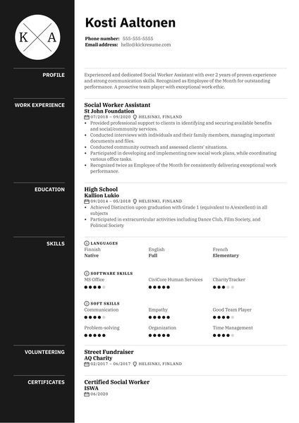 Financial Auditor Resume Example