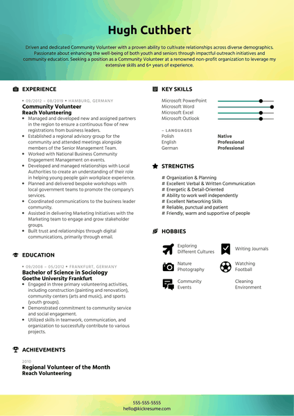 Free Auditor Resume Sample