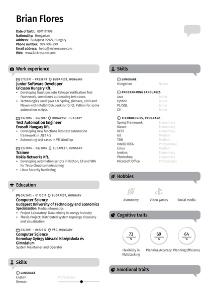 Junior Software Developer CV Sample