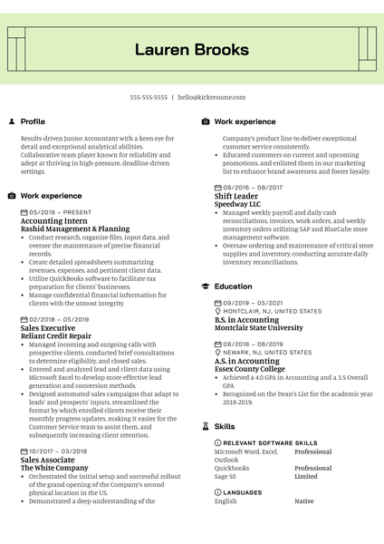 Treasury Accountant Resume Example