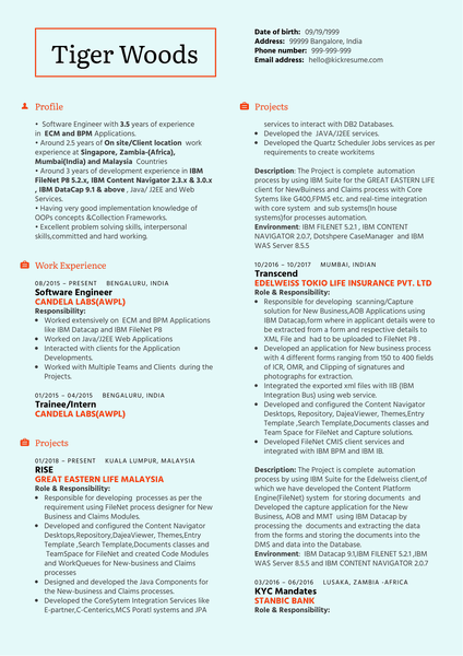 IBM Software Engineer Resume Sample