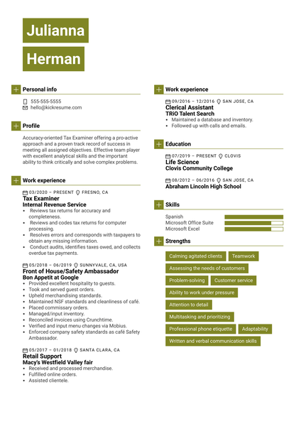 Equity Analyst Resume Example