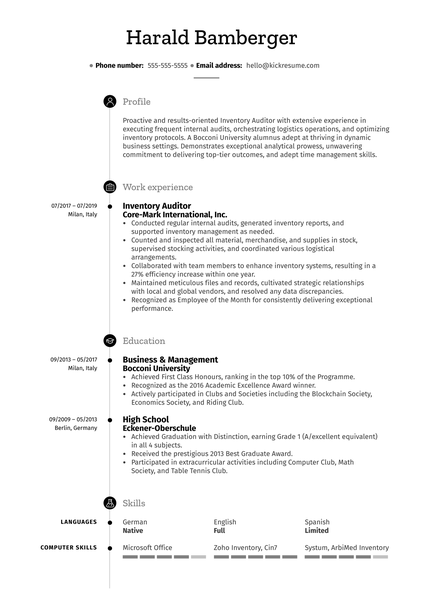 Inventory Auditor Resume Sample