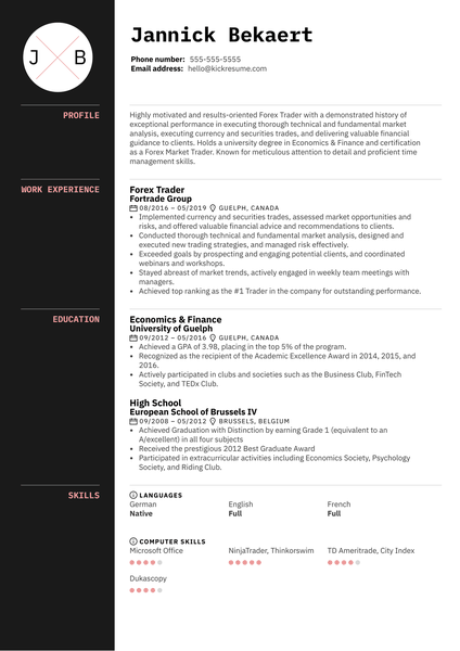 Multimedia Designer Resume Example