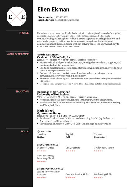 Storyboard Artist Resume Sample