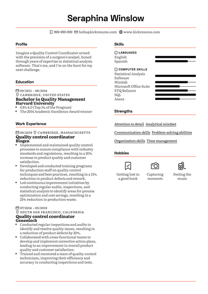 Salesforce Consultant Resume Example