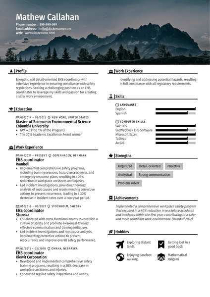 Brand Consultant Resume Example