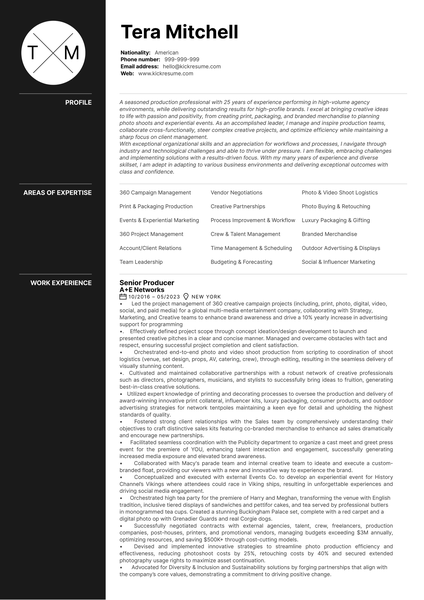 Stock Controller Resume Template