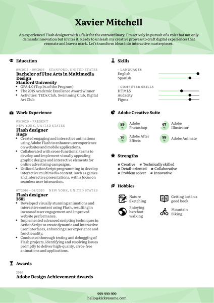 Flash Designer Resume Sample