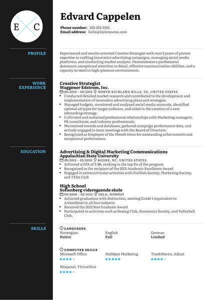Creative Strategist Resume Sample