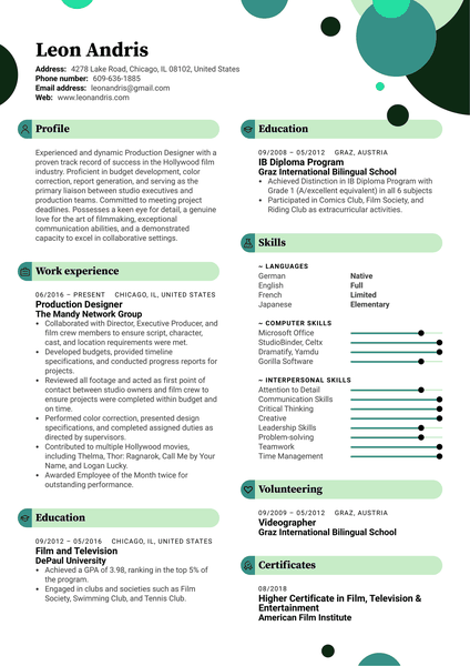 Production Designer Resume Example