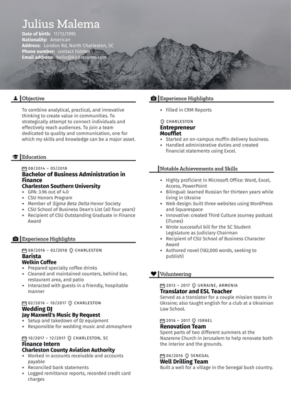 Finance Intern Resume Example