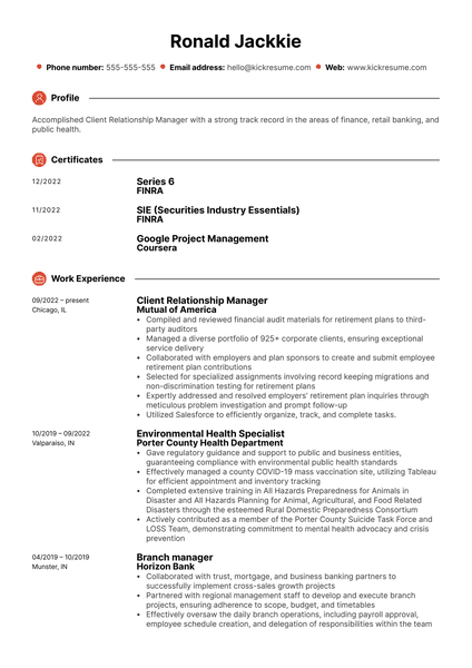 Production Support Analyst Resume Example
